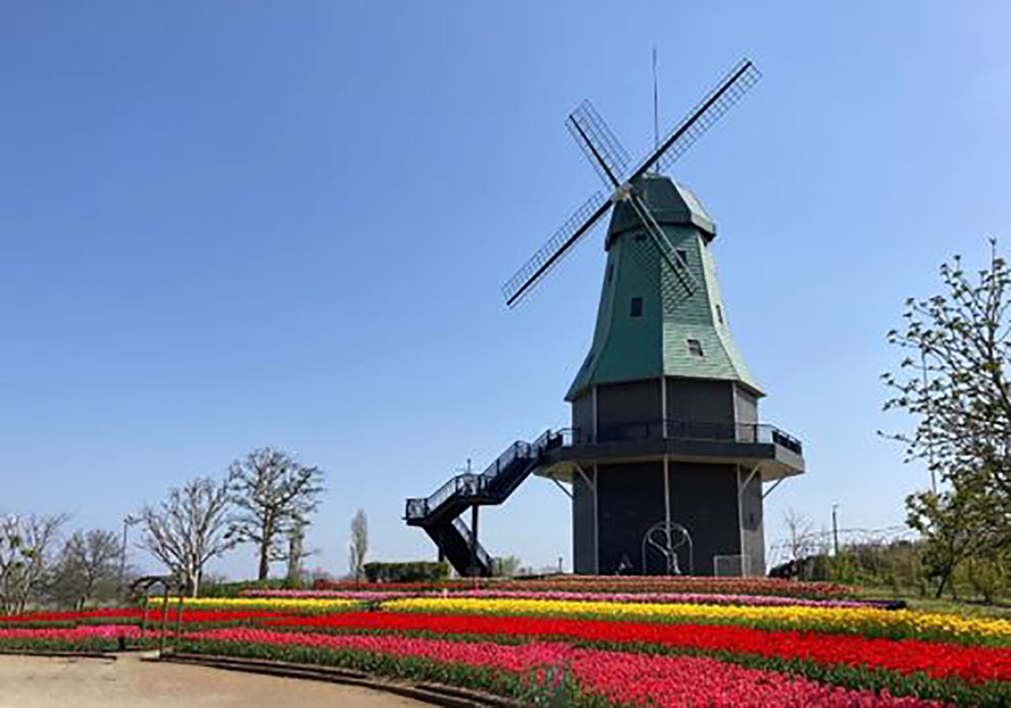 🏞️ 쓰치우라시 자연 센터(쓰치우라시 네이처 센터) 이미지 7